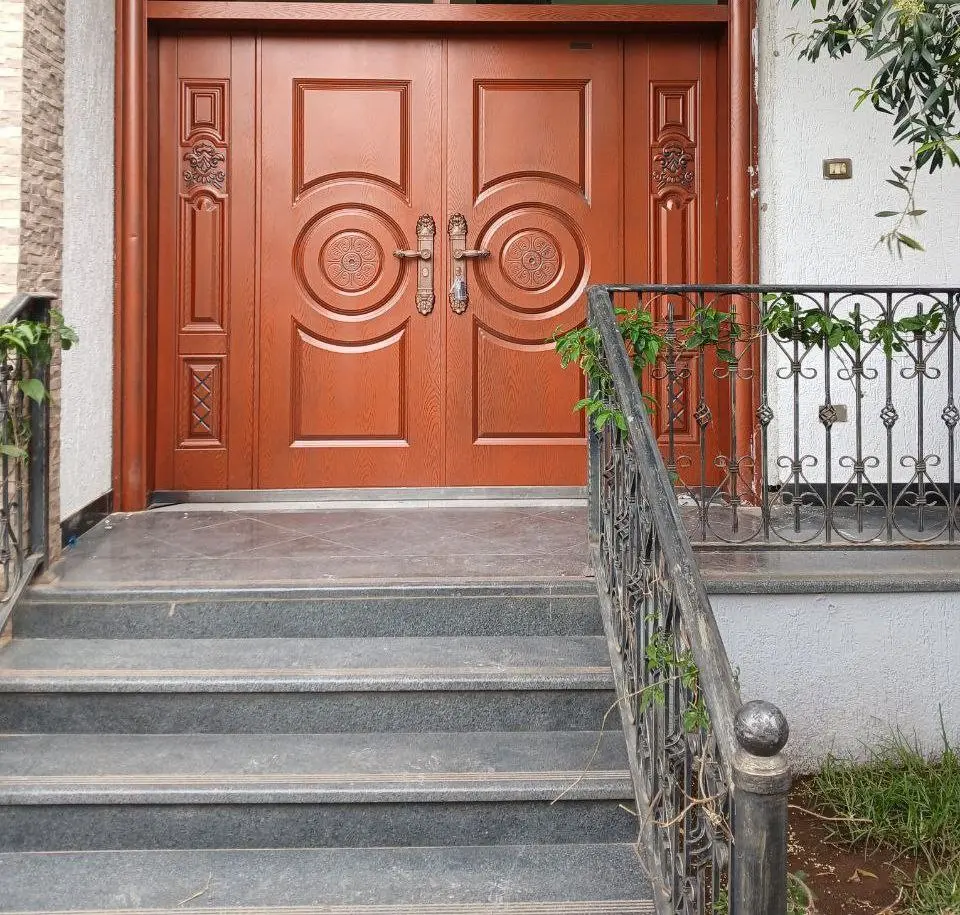 Metal Sheet Doors __025